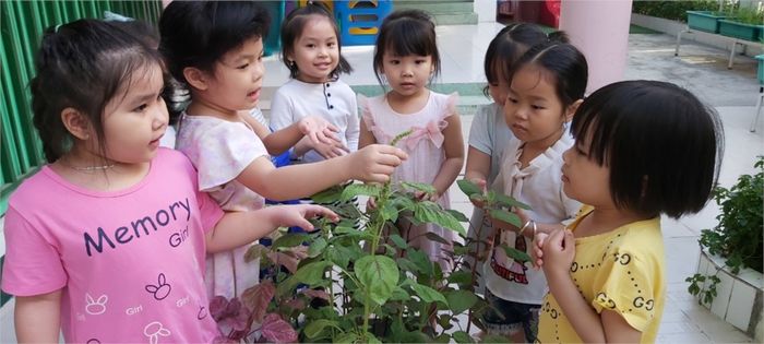 Hình ảnh đầu tiên về Trường Mầm non 10 - nơi lưu giữ những khoảnh khắc đáng yêu của các bé trong môi trường giáo dục hiện đại.
