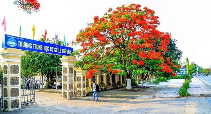Thư viện hình ảnh đẹp về Trường THCS Lê Quý Đôn