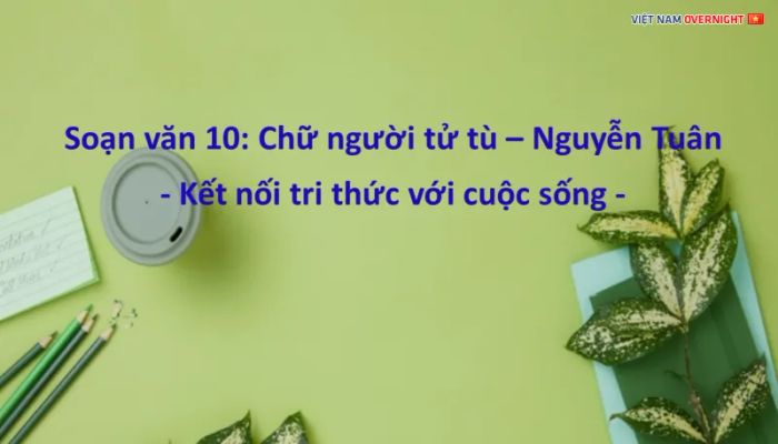 Hình ảnh minh họa sống động (Nguồn: Internet) - Ảnh 1