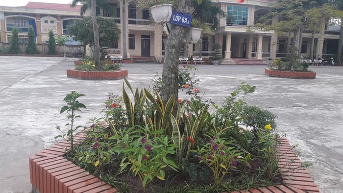 Thư viện hình ảnh đẹp về Trường THCS Nguyễn Đức Cảnh