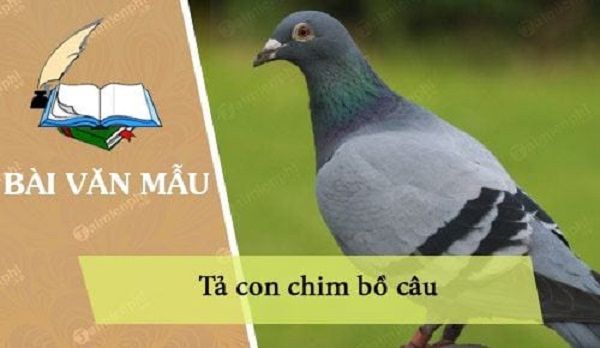 Hình ảnh minh họa sinh động (Nguồn: Internet)