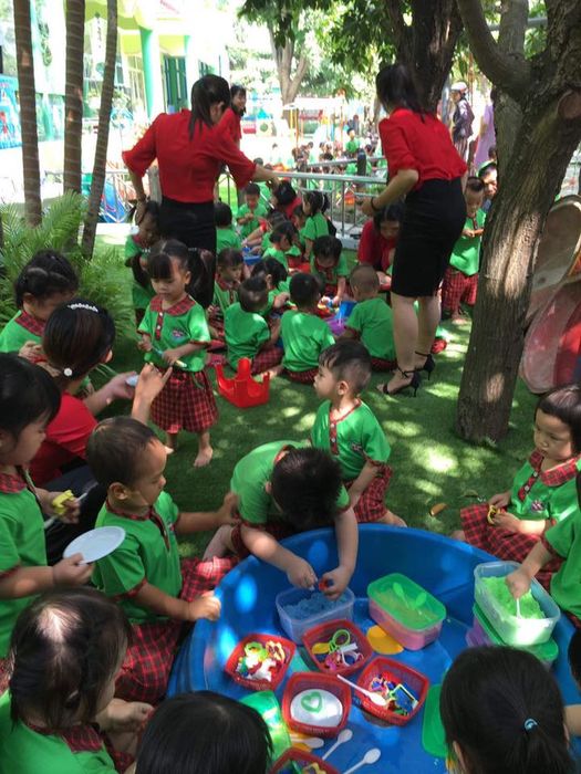 Khoảnh khắc học tập đầy hứng khởi tại Trường Mầm Non Võ Thị Sáu
