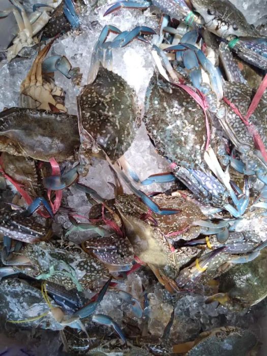 Không gian trưng bày đa dạng hải sản tại Vựa Hải Sản Lộc