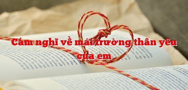 Hình ảnh minh họa số 1 (Nguồn: Internet)