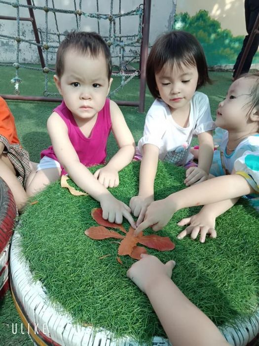Không gian học tập hiện đại tại Trường Mầm Non Hoa Ngọc Lan 2