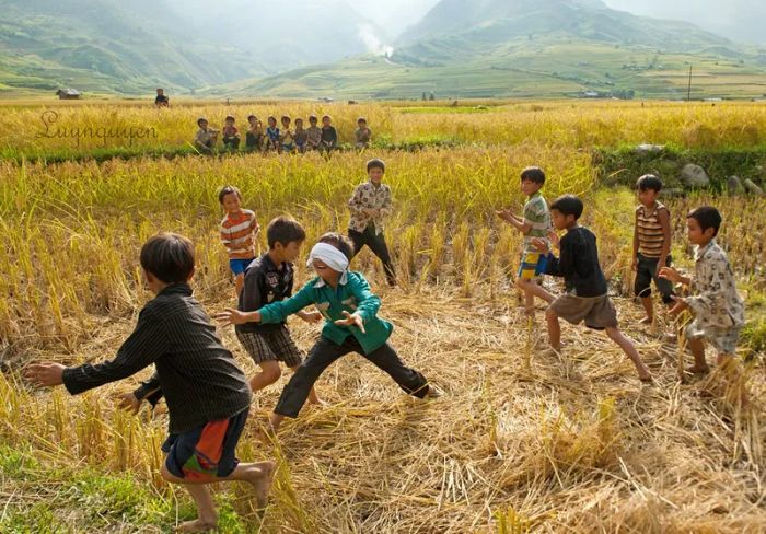 Ảnh minh họa (Nguồn internet) - Hình ảnh 1