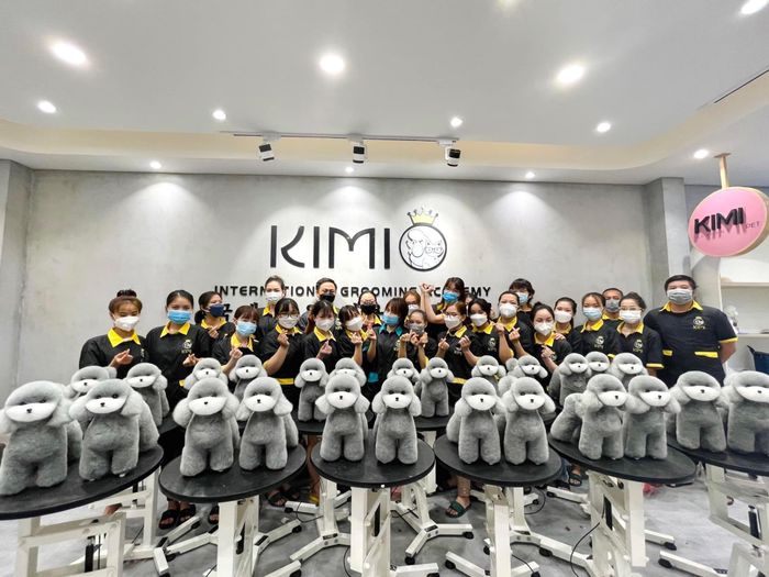 Khoảnh khắc ấm áp tại Kimi Pet - Nơi những người bạn lông xinh đẹp tỏa sáng