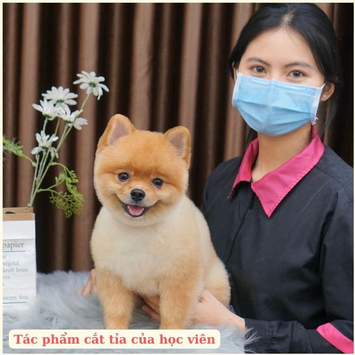 Hình ảnh thực tế khóa học tại Mr.Gâu