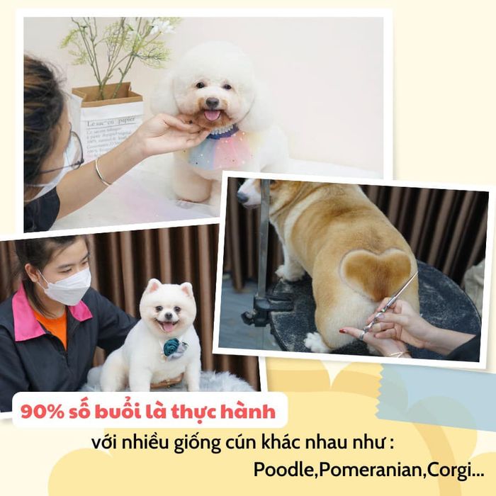Hình ảnh lớp học thực hành tại Mr.Gâu