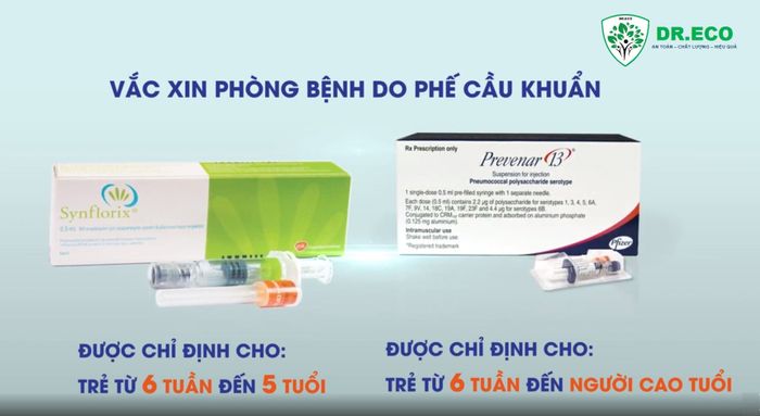 DR.ECO - Phòng Tiêm chủng Dịch vụ tại Ecopark ảnh 3