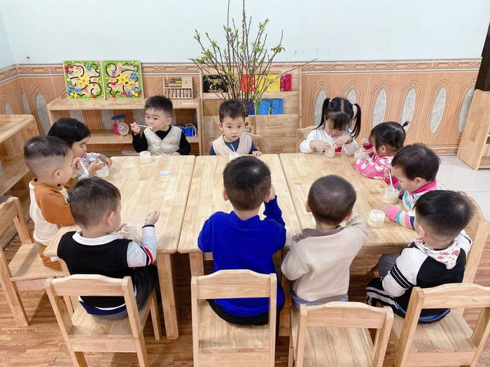 Ảnh minh họa Trường Mầm Non Emath 2