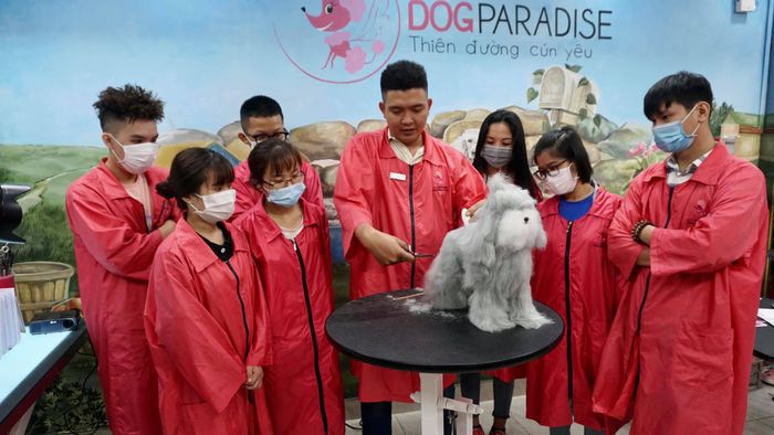 Hình ảnh không gian đào tạo tại DogParadise