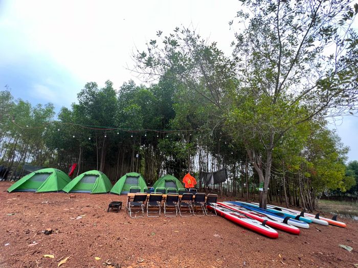 Không gian xanh mát tại Tins Tins Camping