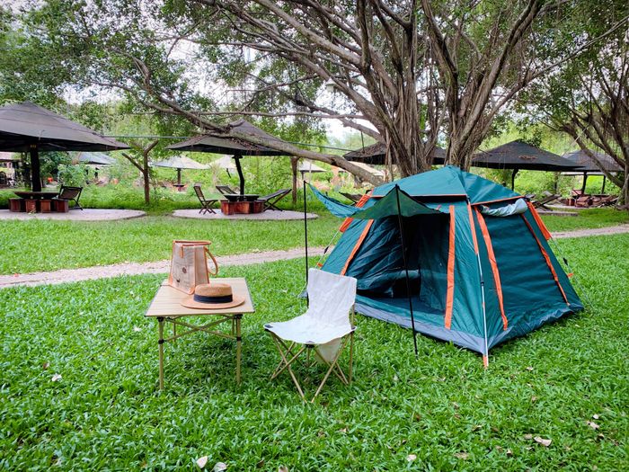 Không gian xanh mát tại Khu Du Lịch Sinh Thái Bò Cạp Vàng