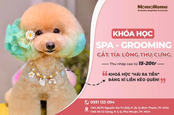 Hình ảnh lớp học thực hành tại Momo Home Academy