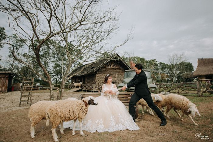 Ảnh 2 từ Ohana Wedding Studio - Tinh hoa trong từng khung hình