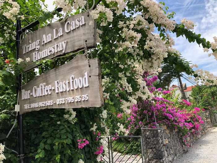 Tràng An La Casa Homestay ảnh 1 - Khoảnh khắc đầu tiên đưa bạn vào thế giới nghỉ dưỡng đậm chất Ninh Bình, nơi kiến trúc hòa quyện cùng thiên nhiên hùng vĩ.