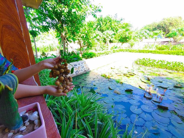 Hang Mua Nature Homestay - Không gian sống xanh đậm chất Việt