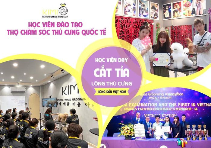 Hình ảnh đáng yêu từ Kimi Pet - Thiên đường dành cho thú cưng