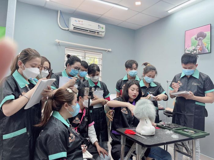 Hình ảnh sinh động về không gian đào tạo tại Pets Icon Grooming Academy