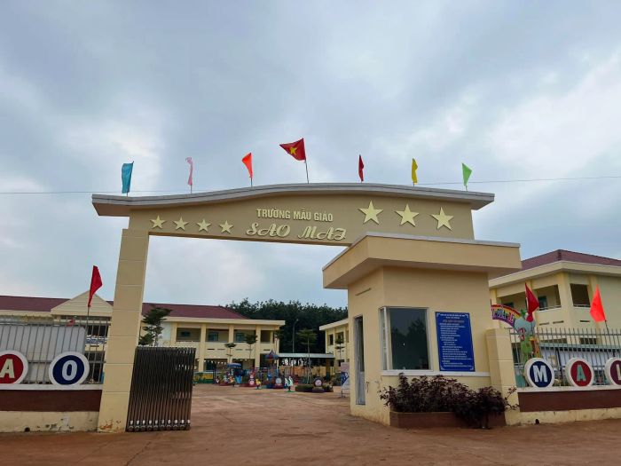 Ảnh 1 - Ngôi trường Mẫu giáo Sao Mai với khuôn viên xanh mát