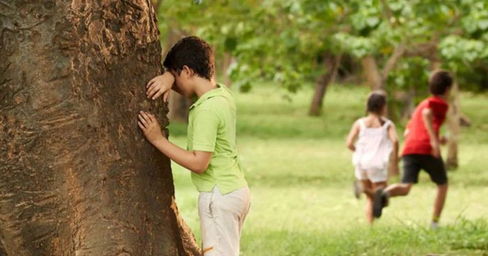 Hình ảnh minh họa trò chơi trốn tìm (Nguồn: Internet) ảnh 1