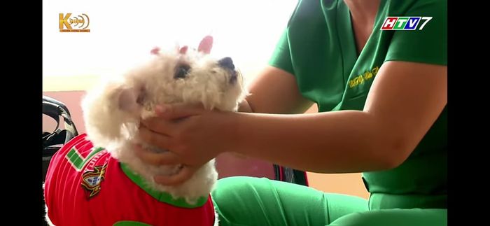 Thanh Vy Petcare hình ảnh 3