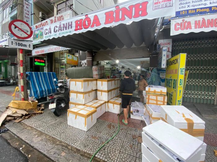 Không gian trưng bày ấn tượng tại Cá Cảnh Hòa Bình