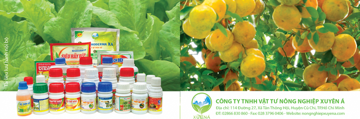Công Ty Nông Nghiệp Xuyên Á ảnh 2
