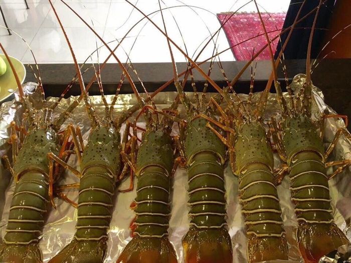 Hiếu Hải Sản - Khám phá hương vị biển cả
