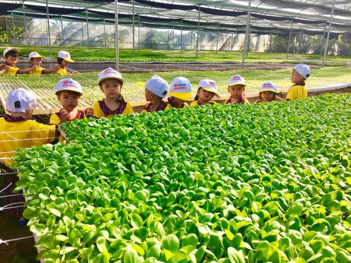 Trường Mẫu Giáo Ánh Dương - Hình 2