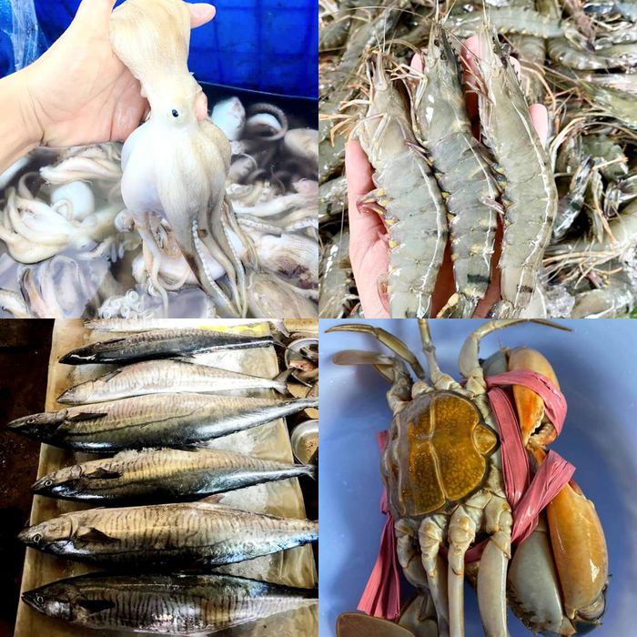 Hải Sản Tươi Sống Nhà Tom - Hình ảnh 2