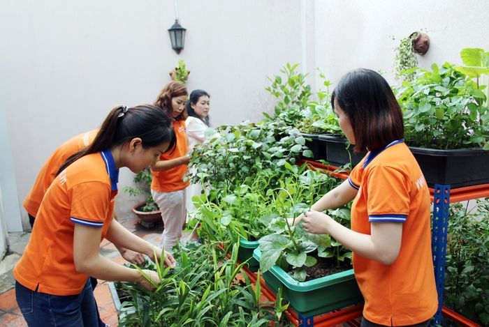 Vườn Sài Gòn ảnh 2