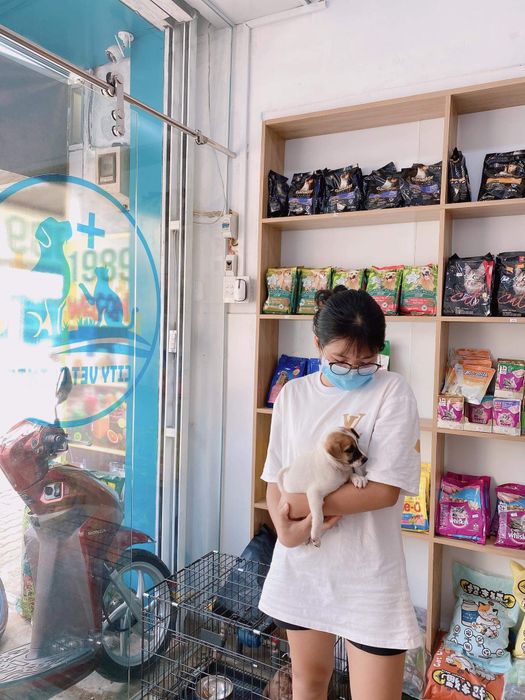 Phòng Khám Thú Y City Vet Clinic hình ảnh 2