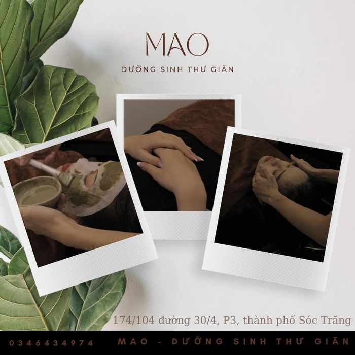 Không gian tĩnh tại MAO - Ốc đảo thư giãn giữa lòng thành phố
