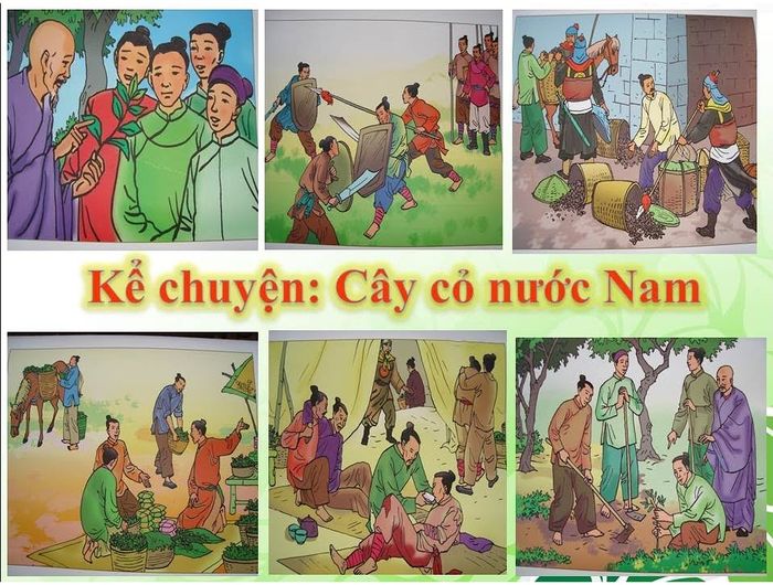 Ảnh tư liệu quý giá về cây thuốc Nam (Nguồn: internet) - Ảnh 1