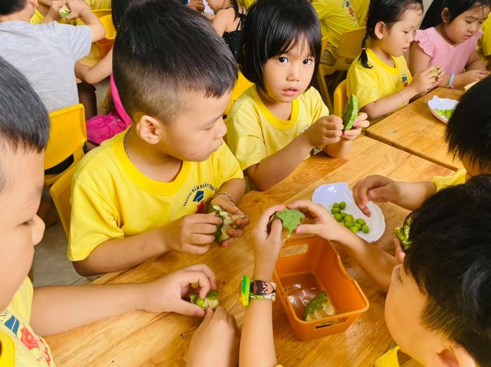 Trường Mầm non Mặt Trời ảnh 2