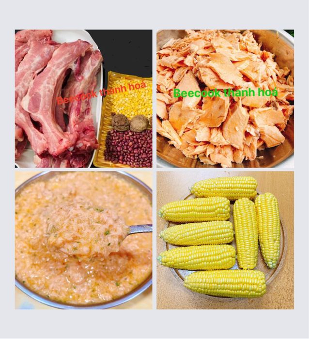 Khám phá Cháo Dinh Dưỡng Cao Cấp BEECOOK qua hình ảnh sống động - Món quà sức khỏe từ thiên nhiên.