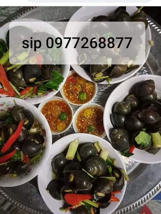 Ốc Bà Liên Ảnh 2