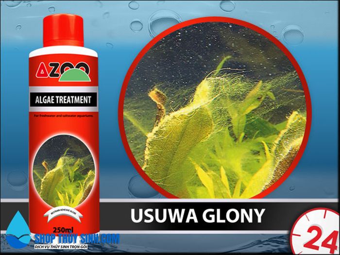 Ảnh sản phẩm Thuốc diệt rêu hại cho hồ thủy sinh Azoo Algae Treatment