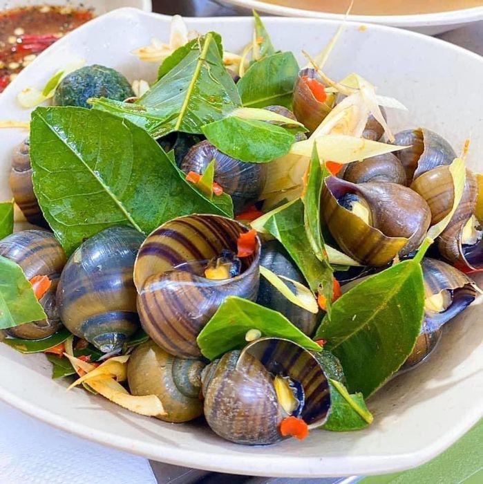 Ốc Nhớ Sài Gòn Vinh Ảnh 3