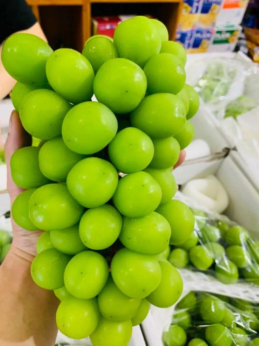 Hoa Quả Hạt Văn hình ảnh 3