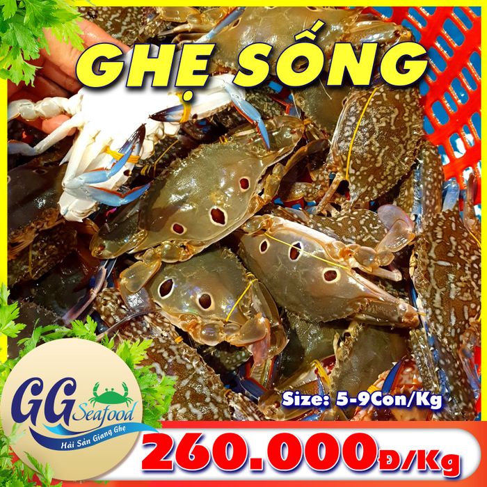 Hải Sản Giang Ghẹ - Khám phá món ngon từ biển