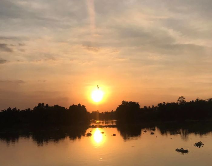Hình ảnh minh họa (Nguồn: Tổng hợp)