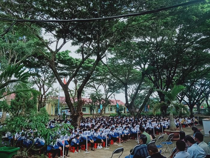 Hình ảnh đẹp về ngôi trường THCS Nguyễn Du qua góc nhìn nghệ thuật
