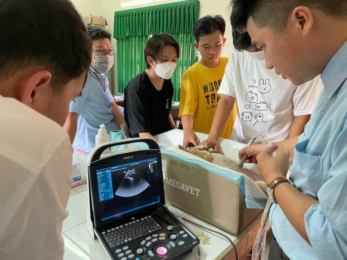 Thanh Vy Petcare hình ảnh 1
