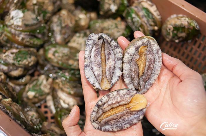 Gánh Hải Sản - Hải sản tươi sống chất lượng