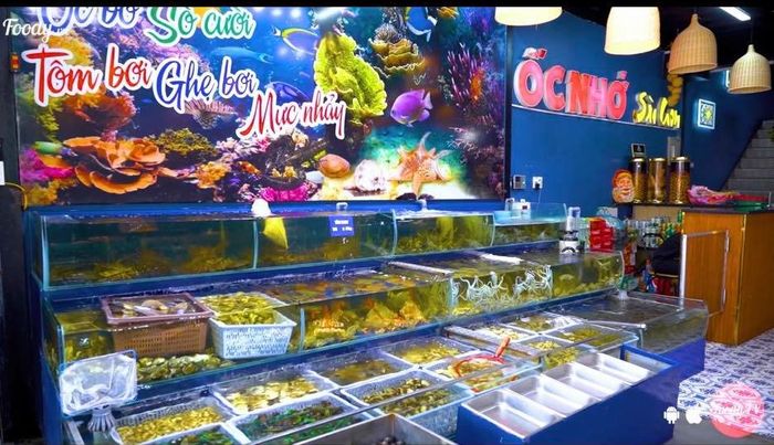 Ốc Nhớ Sài Gòn Vinh Ảnh 1