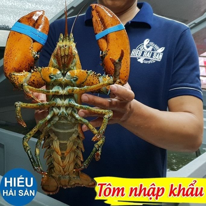 Hiếu Hải Sản - Tươi ngon, chất lượng vượt trội
