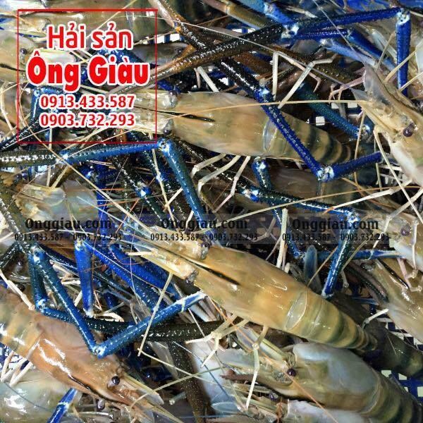 Hải Sản Ông Giàu - Tươi ngon từ biển cả